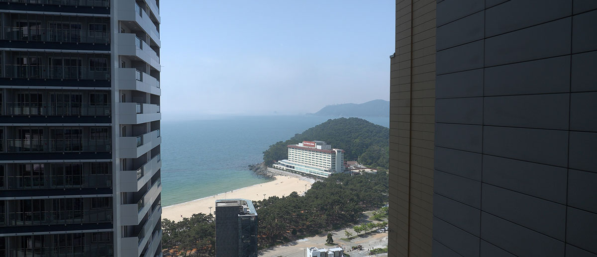 패밀리 스위트